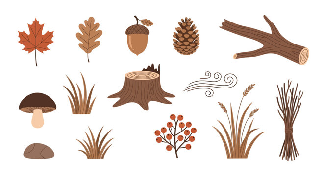 Collection of autumn-themed illustrations featuring leaves mushrooms pinecone log tree stump grass and berries in earthy tones for seasonal design projects