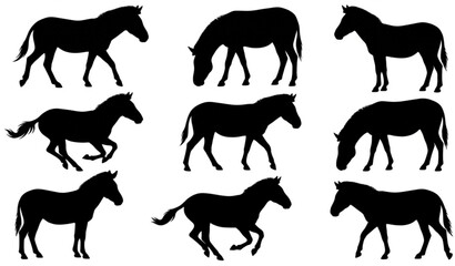 Obraz premium Safari Zebra Silhouette Bundle Vector EPS Design