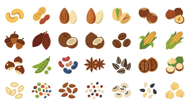 Set of nuts, beans, seeds, and spices flat vector illustration for healthy food design.