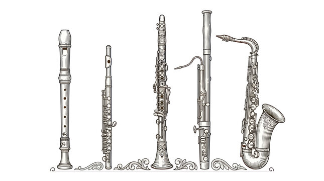 Woodwind musical instruments set including saxophone flute and clarinet