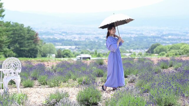 見晴らしの良い高台のラベンダー畑で日傘を差して佇む青いワンピースの若い女性