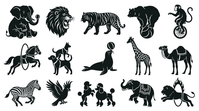 Circus and Wild Animals Silhouette Icons - Performing Wildlife Entertainment Vector Set