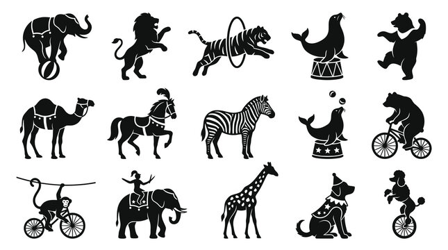 Black and White Circus Animals Glyph Icons Set. Performing Entertainment Animal Acts Silhouettes.
