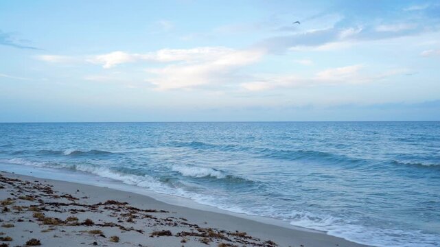 waves crashing on the beach