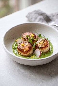 Gourmet Pan-Seared Scallops Served on a Bed of Green Pea Puree with Radish and Microgreens