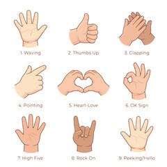 Fototapeta premium Hand Gestures Illustration Set Displaying Diverse Human Body Language Communication and Expressions