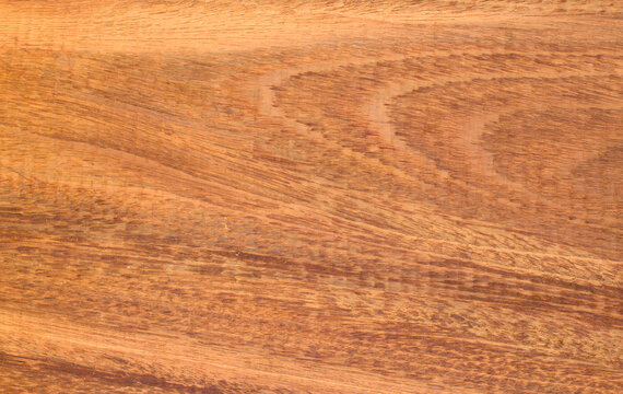 Dark brown wood grain interior design
