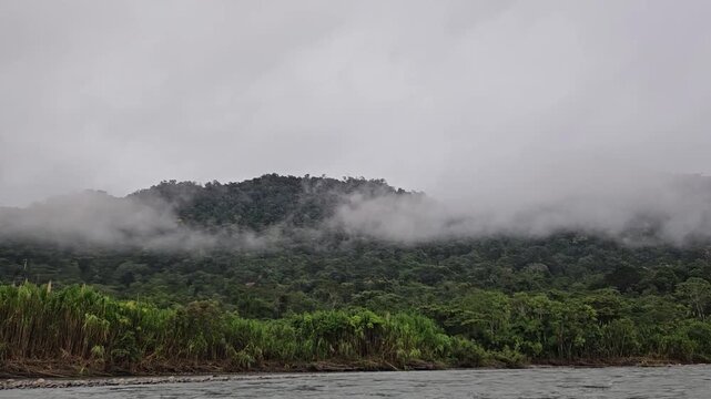 Cloud forest of Manu National Park, Peru