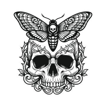 Detailed engraving style skull moth illustration with tattoo design, line art