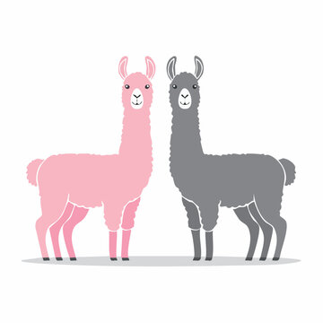 Two cute llamas, one pink and one gray, standing side by side