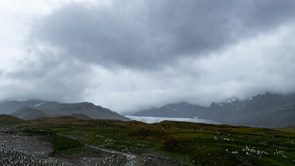South Georgia Island Glacial Lake Nestled Between Dark Volcanic Mountains Under Heavy Overcast Storm Clouds with Green Tundra Foreground © 7 Fine Art