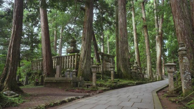 Early Morning at Okunoin &ndash; Koyasan, Wakayama, Japan「早朝の高野山奥之院」和歌山県高野町