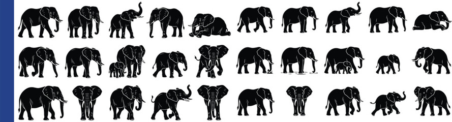 Elephant Silhouettes On White Background A Collection Of African Wildlife Shapes © Rudro
