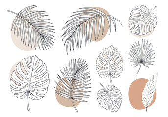 Set of hand-drawn tropical leaves with abstract shapes. © Sapu