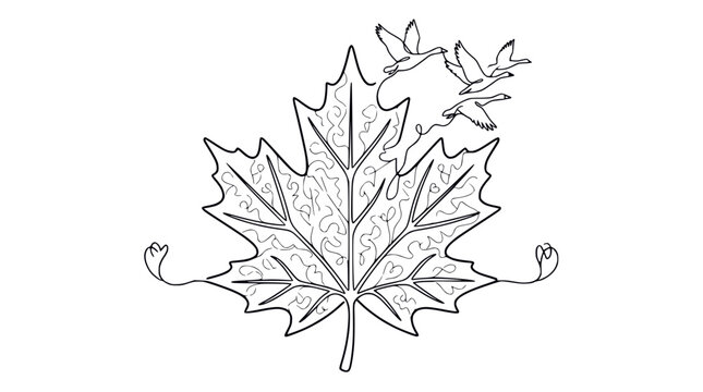Canadian Maple Leaf with Geese Flying - Line Art Illustration