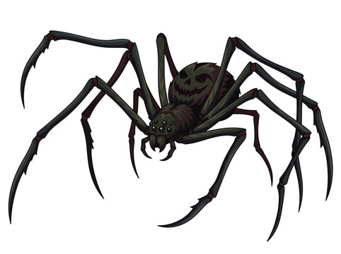 A detailed illustration of a large black spider with sharp fangs and long legs.
