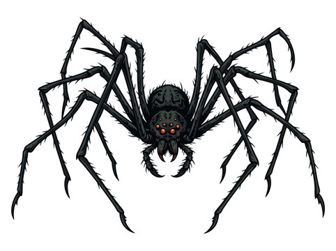 Detailed illustration of a large black spider with glowing orange eyes.