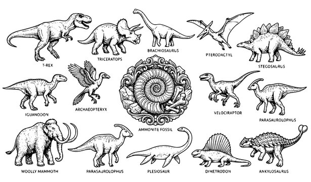 Hand Drawn Prehistoric Dinosaur Species Engraving Vector Set for Coloring Activity Pages