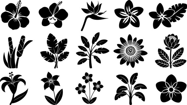 Tropical Flowers and Leaves Silhouettes Collection hibiscus