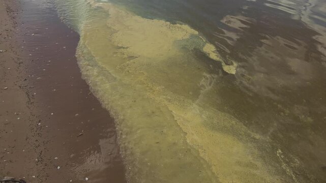 Dark shoreline water with yellow pollution slick spreading across wet sandy beach