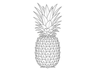 Obraz premium A detailed black and white line drawing depicts a pineapple. The pineapple has a spiky crown and a textured body.