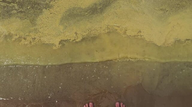 Bare feet standing beside foamy surf on wet sand with algae covered shoreline