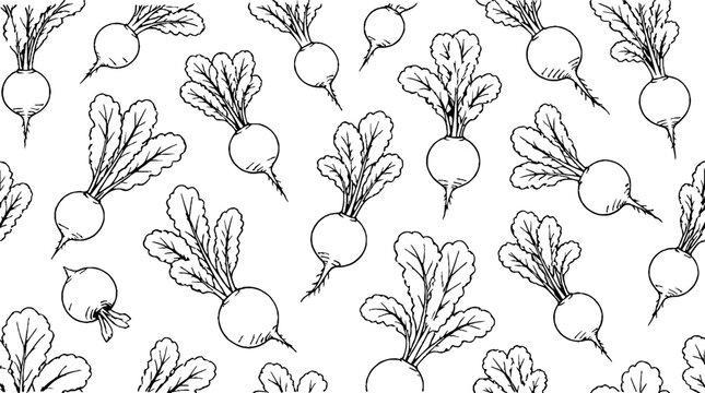 Hand drawn radish vegetable pattern design.