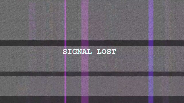 Television static noise with Signal Lost text and vertical purple glitch bars flickering on digital display for retro video transitions and overlays.