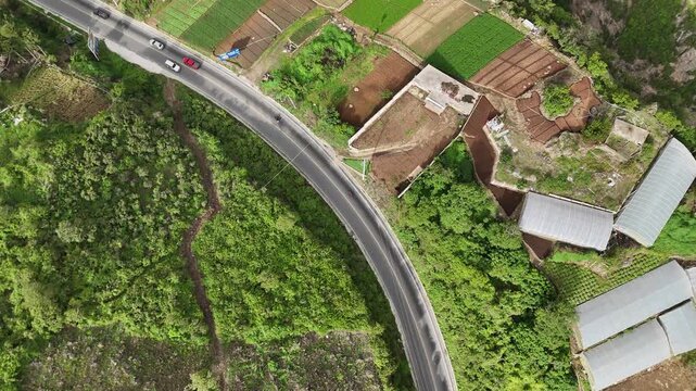 Drone footage flying above a winding rural road surrounded by cultivated fields and forest vegetation. Top down aerial view of transportation infrastructure and mountain agriculture.