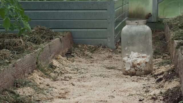 Glass jar filled with broken eggshells beside garden bed and earthy path