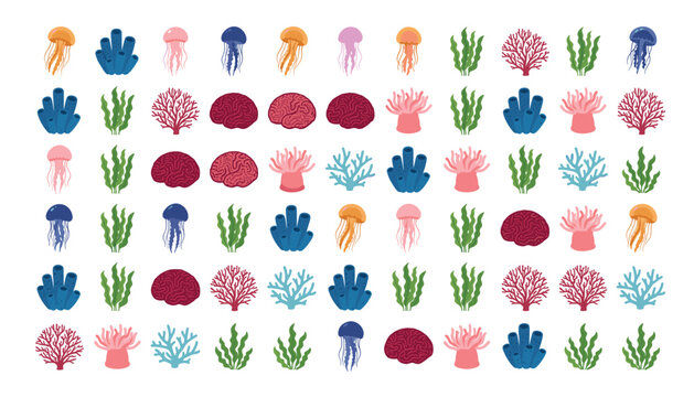 Coral reef vector set. Seamless pattern icons of colorful sea anemone, jellyfish, sponge, seaweed, isolated transparent background elements.