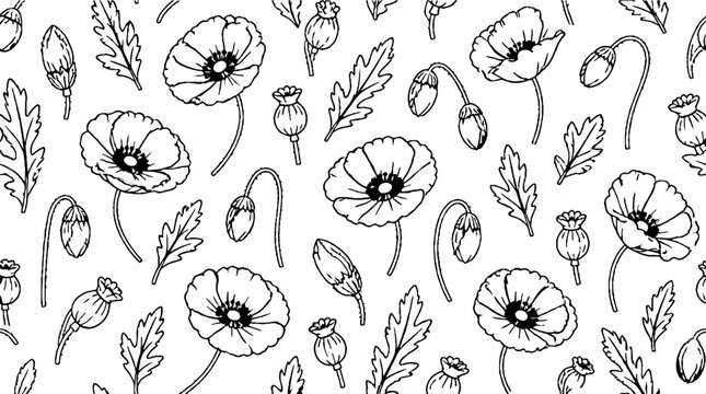 Black and white poppy flower and leaf pattern design.