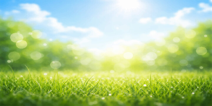 Green grass field under a blue sky with sunshine and clouds in a peaceful summer landscape