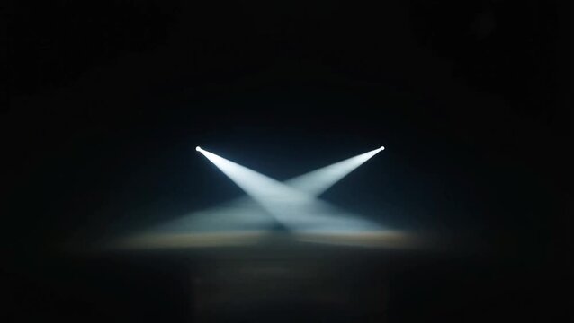 A bird takes flight on a foggy stage under spotlight.