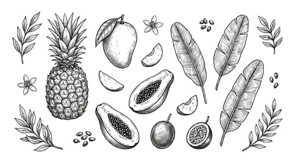 Fototapeta premium Hand Drawn Tropical Fruit and Botanical Leaves Collection in Vintage Sketch Style