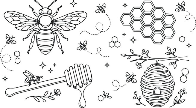Minimalist honeybee line art collection featuring honeycomb pattern wooden honey dipper hanging beehive branch and flying bees symbols