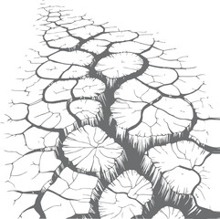 Obraz premium Cracked dry earth with tree roots visible, symbolizing drought climate change and arid conditions, survival in harsh environment illustration.