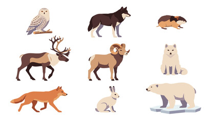 Obraz premium Arctic animals vector set. Cartoon polar bear, wolf, fox, reindeer, owl, rabbit, isolated transparent background elements.