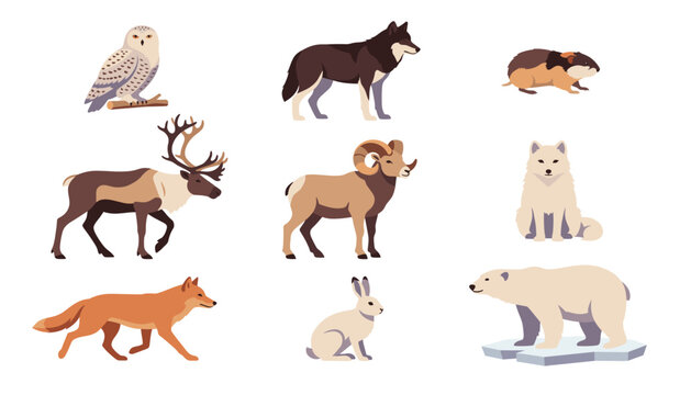 Arctic animals vector set. Cartoon polar bear, wolf, fox, reindeer, owl, rabbit, isolated transparent background elements.