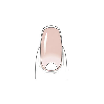 Illustration of a manicured fingernail with a nude polish color, showing the nail plate and cuticle area, isolated on white background