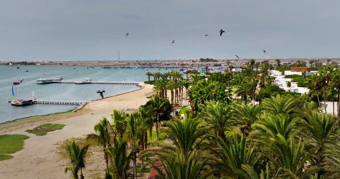 Paracas beachfront with piers and waterfront with boardwalk, aerial over palms