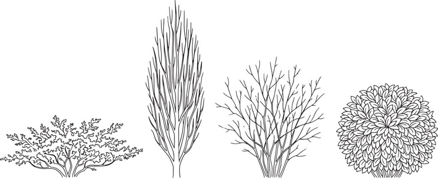 Set of hand drawn garden plants and trees in black and white ink sketch vector illustration style