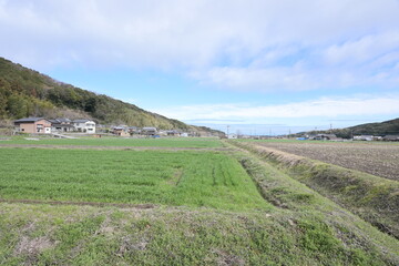 青空と新緑の畑が広がる、のどかな日本の里山と集落の田舎風景 © gotoshoji