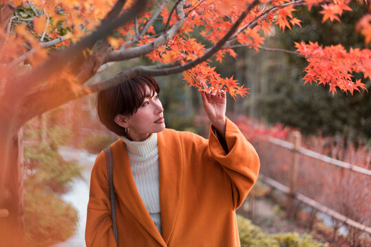 紅葉の楓に手を伸ばす30代女性