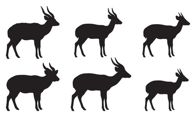 Fototapeta premium Elegant deer silhouettes in black vector style for forest wildlife and hunting art projects