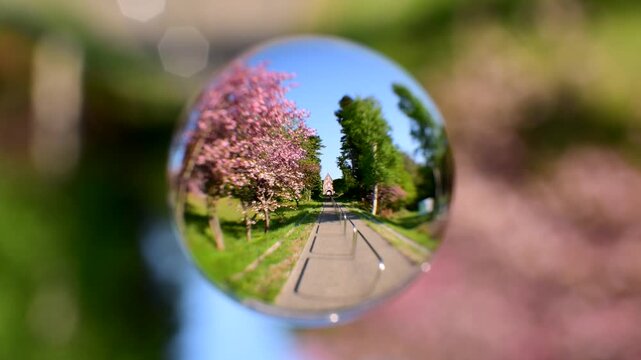 トラピスト修道院と桜