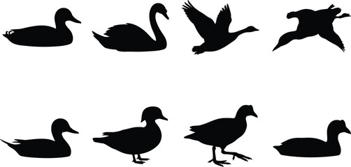 Waterfowl and aquatic birds black silhouettes vector collection featuring duck swan goose and loon icons isolated on white background © MstRehna