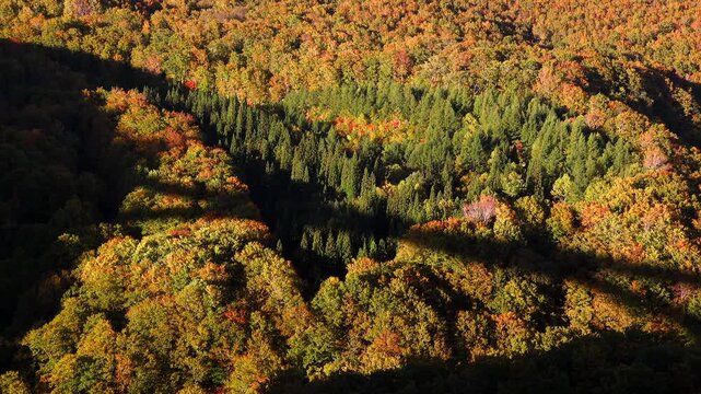 城ヶ倉渓流の紅葉
