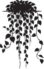 Black Silhouette of a Hanging Pothos Plant Isolated on White Background © Picture Paradise