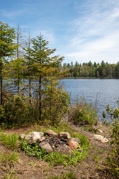 View of a stone fire pit nestled on the grassy shore of a calm lake, surrounded by pine trees under a clear blue sky in Brantingham, New York, United States.